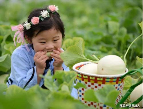 娱乐吃瓜酱农村小名,一场别开生面的乡村趣味故事